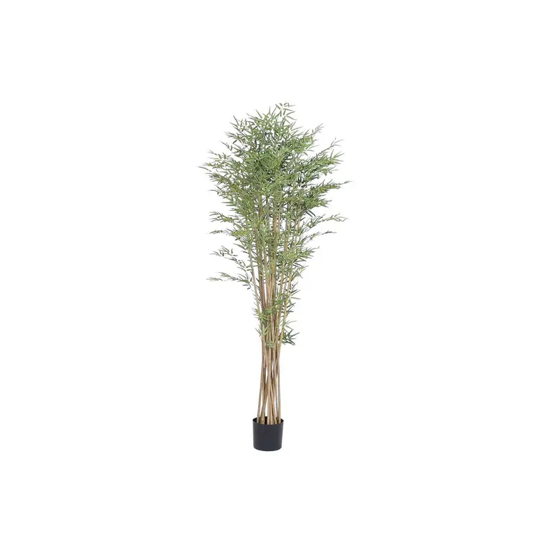 Decorative Plant Home Esprit Wood Polyethylene Oriental 1