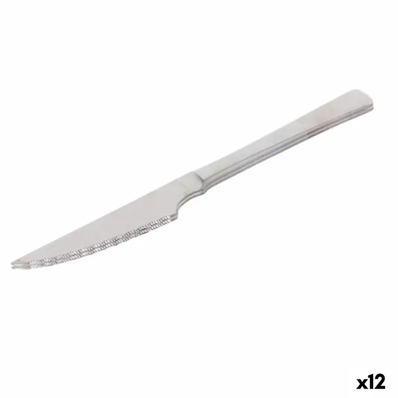 Meat Knife Set Quttin Madrid Silver Stainless Steel 21 X 2 X 0,5 Cm 2 Pieces (12 Units) 1
