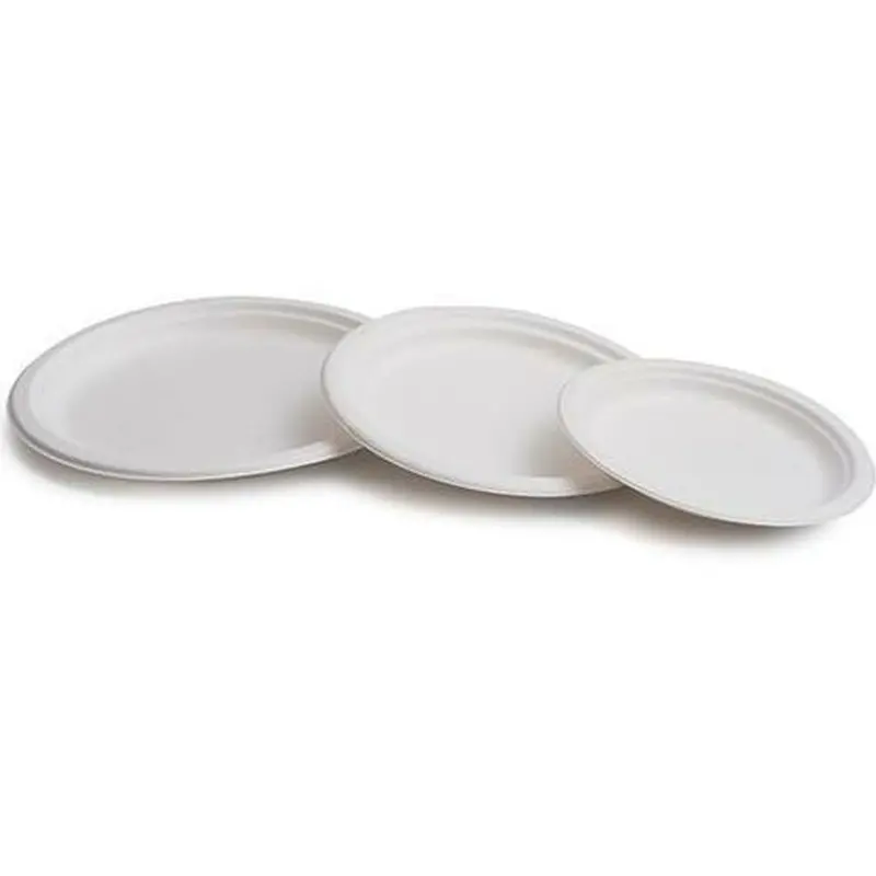 Plate Disposable White Biodegradable Ø 22,5 Cm 1